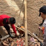 Polsek Pulau Panggung Identifikasi Rumah Tertimpa Pohon Kelapa