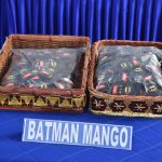 TNI AL Gagalkan Dugaan Penyelundupan Cartridge Liquid Vape Mengandung Kokain Senilai Rp34,9 Miliar